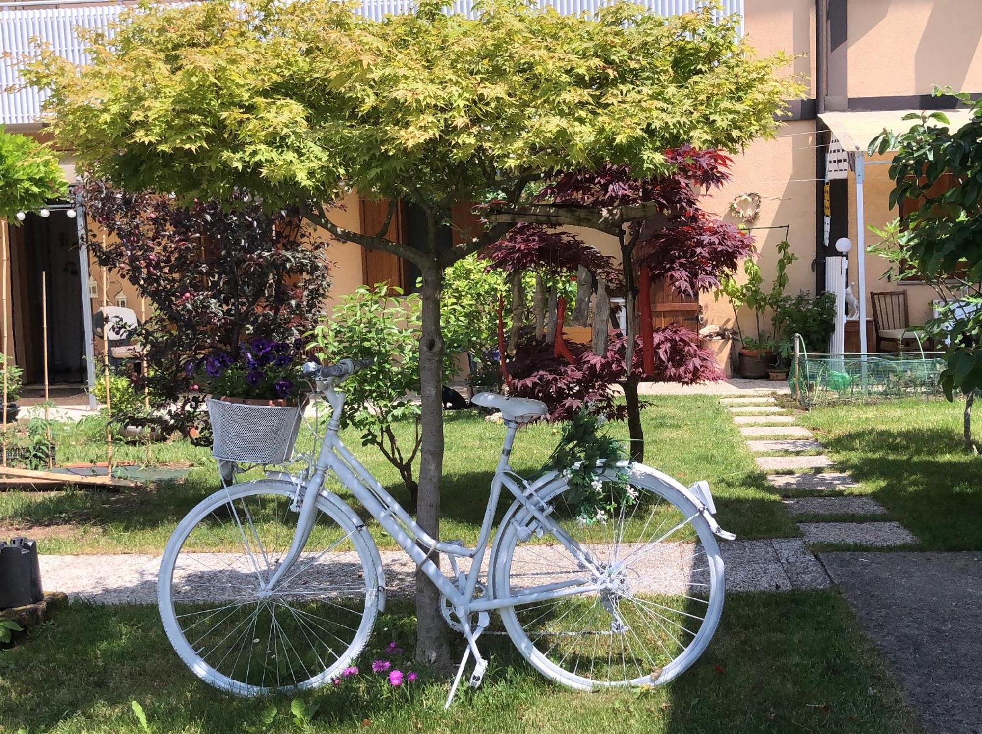 Sensory Garden Bed & Breakfast San Daniele del Friuli Bagian luar foto